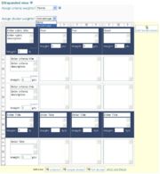 A rubric with dividers can be expanded to show additional criteria descriptions, criteria weights and divider weights.